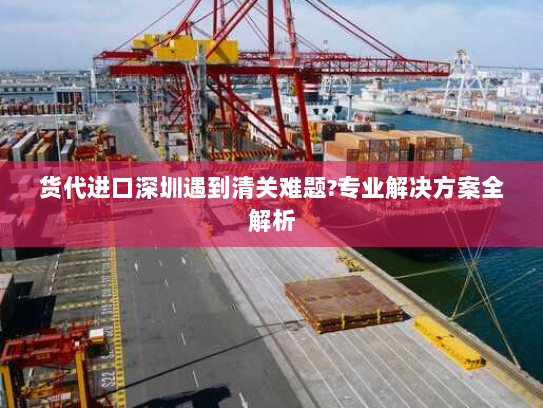货代进口深圳遇到清关难题?专业解决方案全解析 货代进口深圳遇到清关难题?专业解决方案全解析