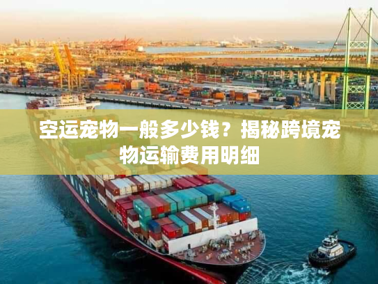 空运宠物一般多少钱?揭秘跨境宠物运输费用明细 空运宠物一般多少钱?揭秘跨境宠物运输费用明细