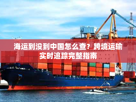 海运到没到中国怎么查？跨境运输实时追踪完整指南