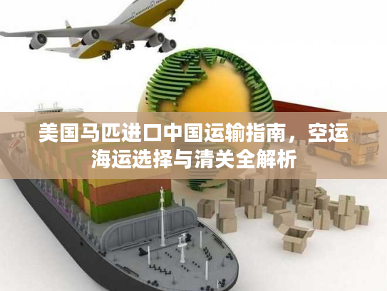 美国马匹进口中国运输指南，空运海运选择与清关全解析