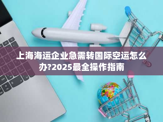 上海海运企业急需转国际空运怎么办?2025最全操作指南