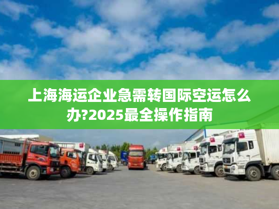 上海海运企业急需转国际空运怎么办?2025最全操作指南