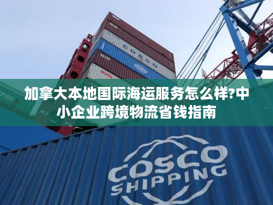 加拿大本地国际海运服务怎么样?中小企业跨境物流省钱指南