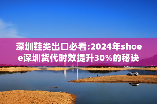 深圳鞋类出口必看:2024年shoee深圳货代时效提升30%的秘诀