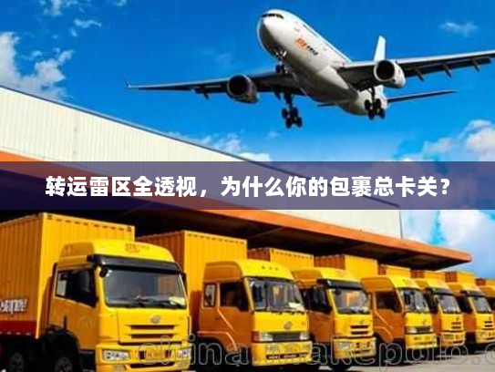 转运雷区全透视，为什么你的包裹总卡关？