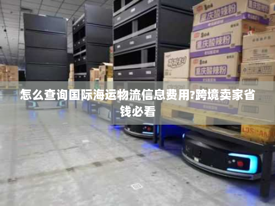 怎么查询国际海运物流信息费用?跨境卖家省钱必看