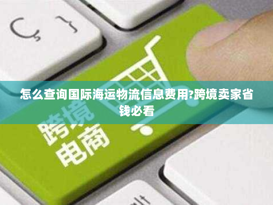 怎么查询国际海运物流信息费用?跨境卖家省钱必看