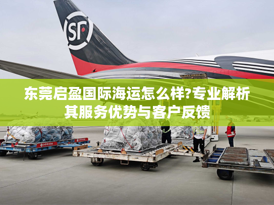 东莞启盈国际海运怎么样?专业解析其服务优势与客户反馈