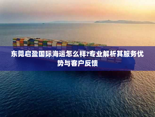 东莞启盈国际海运怎么样?专业解析其服务优势与客户反馈