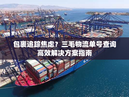 包裹追踪焦虑?三毛物流单号查询高效解决方案指南 包裹追踪焦虑?三毛物流单号查询高效解决方案指南