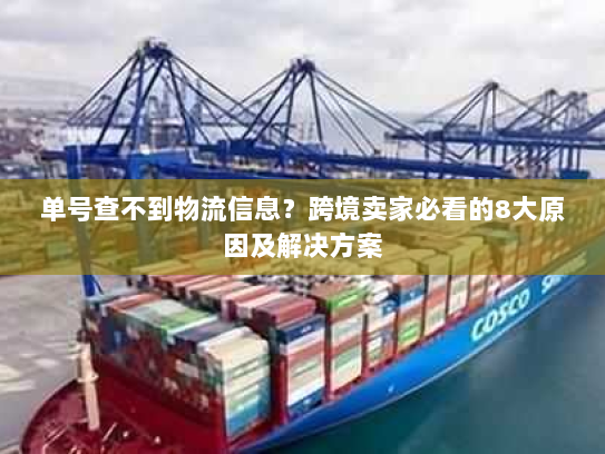 单号查不到物流信息?跨境卖家必看的8大原因及解决方案 单号查不到物流信息?跨境卖家必看的8大原因及解决方案