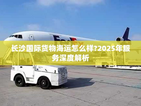 长沙国际货物海运怎么样?2025年服务深度解析
