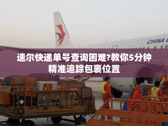 速尔快递单号查询困难?教你5分钟精准追踪包裹位置