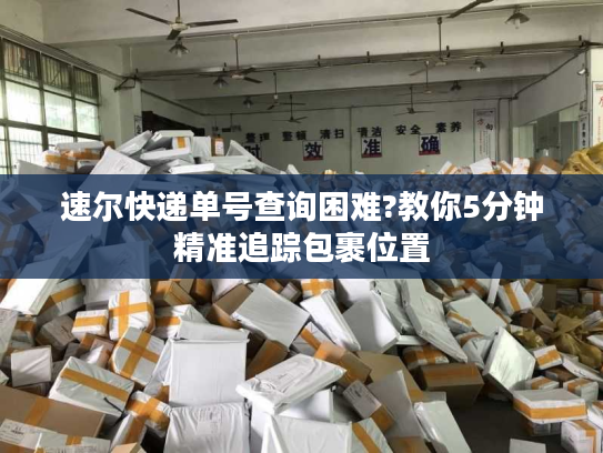 速尔快递单号查询困难?教你5分钟精准追踪包裹位置