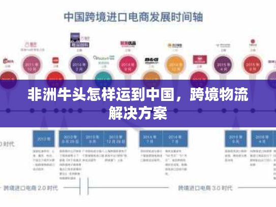 非洲牛头怎样运到中国，跨境物流解决方案