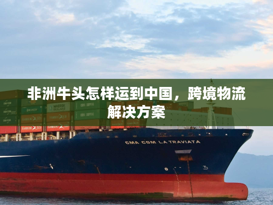 非洲牛头怎样运到中国，跨境物流解决方案