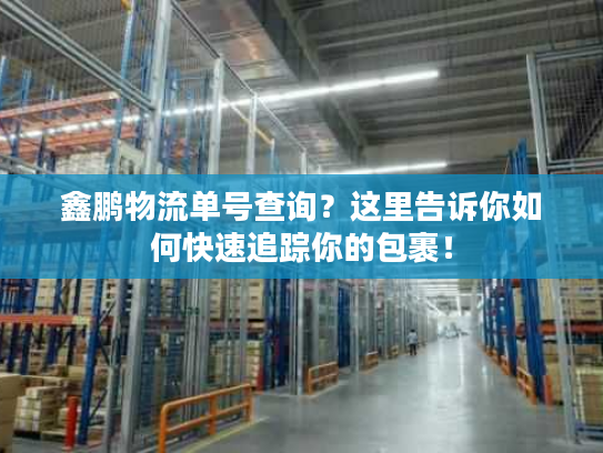 鑫鹏物流单号查询？这里告诉你如何快速追踪你的包裹！
