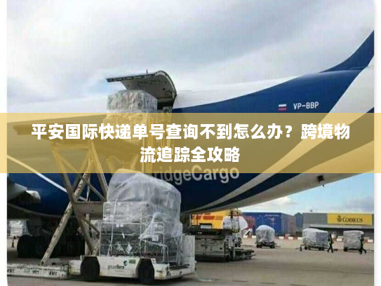 平安国际快递单号查询不到怎么办？跨境物流追踪全攻略