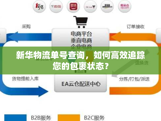 新华物流单号查询，如何高效追踪您的包裹状态？