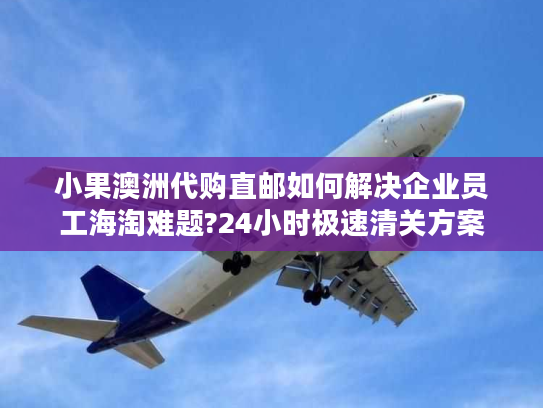 小果澳洲代购直邮如何解决企业员工海淘难题?24小时极速清关方案