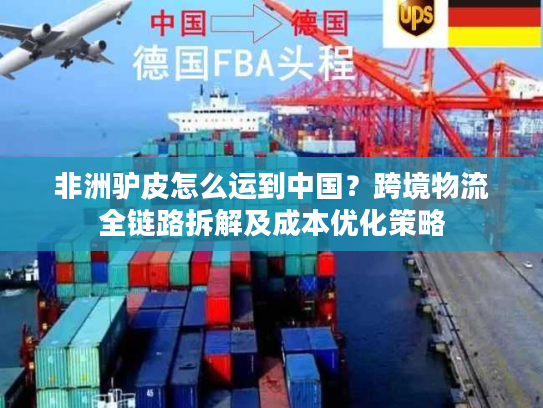 非洲驴皮怎么运到中国?跨境物流全链路拆解及成本优化策略 非洲驴皮怎么运到中国?跨境物流全链路拆解及成本优化策略