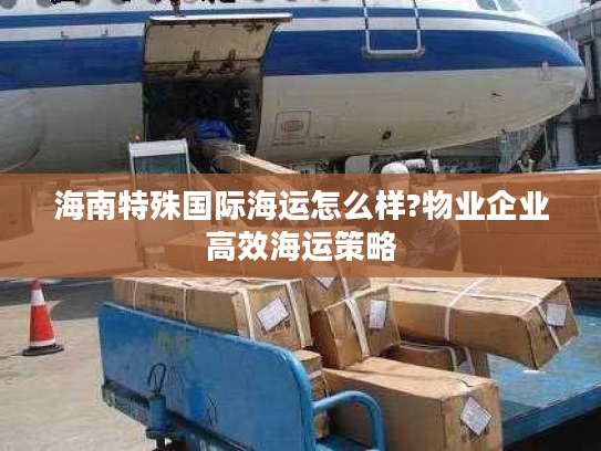 海南特殊国际海运怎么样?物业企业高效海运策略 海南特殊国际海运怎么样?物业企业高效海运策略