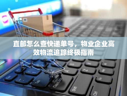 直邮怎么查快递单号，物业企业高效物流追踪终极指南