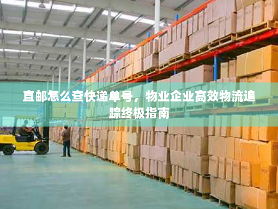 直邮怎么查快递单号，物业企业高效物流追踪终极指南