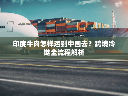 印度牛肉怎样运到中国去？跨境冷链全流程解析