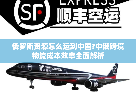 俄罗斯资源怎么运到中国?中俄跨境物流成本效率全面解析