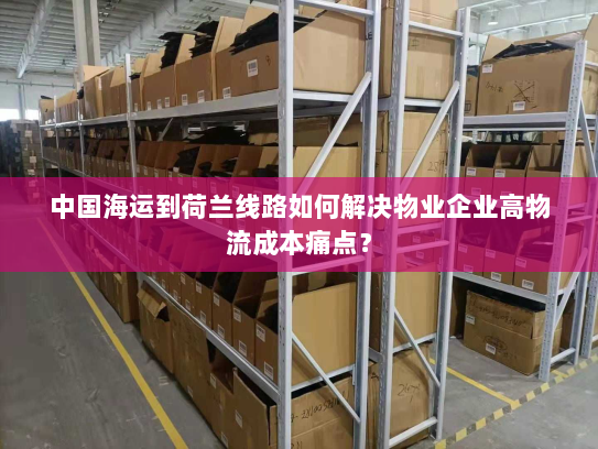 中国海运到荷兰线路如何解决物业企业高物流成本痛点？