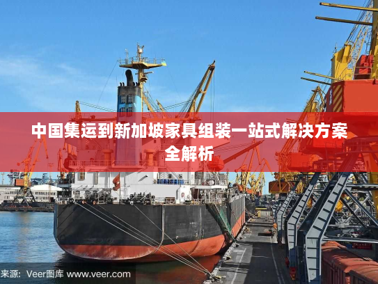 中国集运到新加坡家具组装一站式解决方案全解析