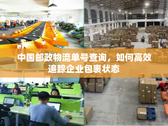 中国邮政物流单号查询，如何高效追踪企业包裹状态