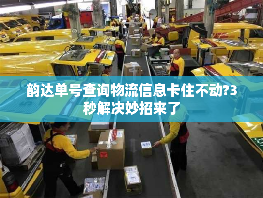 韵达单号查询物流信息卡住不动?3秒解决妙招来了