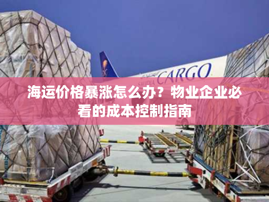 海运价格暴涨怎么办？物业企业必看的成本控制指南