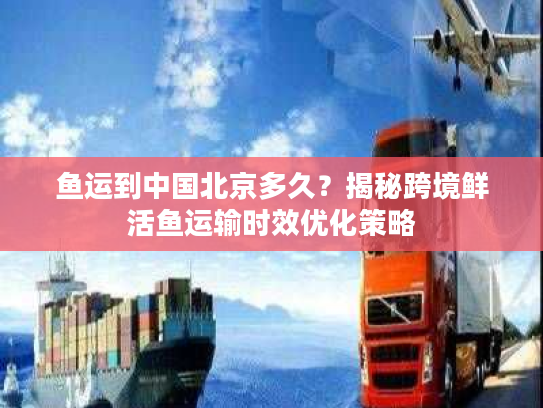 鱼运到中国北京多久？揭秘跨境鲜活鱼运输时效优化策略