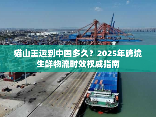 猫山王运到中国多久？2025年跨境生鲜物流时效权威指南