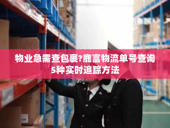 物业急需查包裹?鹿富物流单号查询5种实时追踪方法