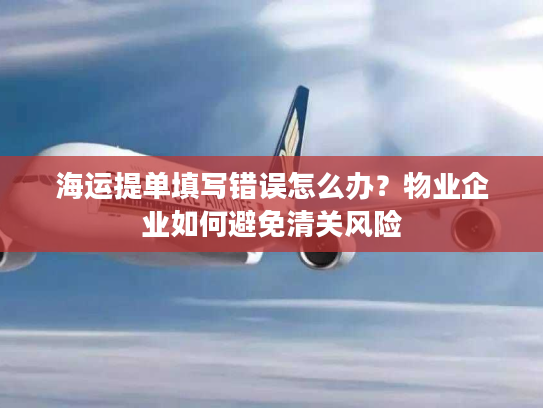海运提单填写错误怎么办？物业企业如何避免清关风险