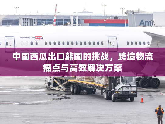 中国西瓜出口韩国的挑战，跨境物流痛点与高效解决方案
