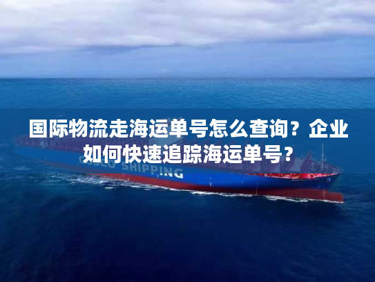 国际物流走海运单号怎么查询？企业如何快速追踪海运单号？