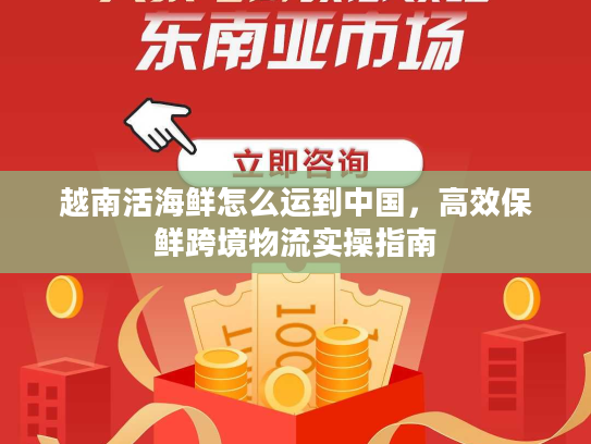 越南活海鲜怎么运到中国，高效保鲜跨境物流实操指南