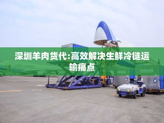 深圳羊肉货代:高效解决生鲜冷链运输痛点 深圳羊肉货代:高效解决生鲜冷链运输痛点