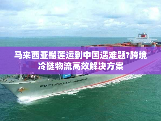 马来西亚榴莲运到中国遇难题?跨境冷链物流高效解决方案