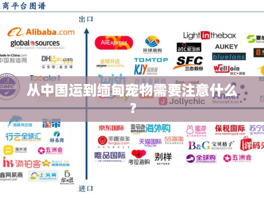 从中国运到缅甸宠物需要注意什么？