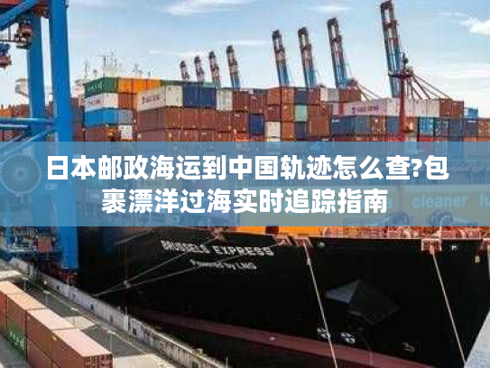 日本邮政海运到中国轨迹怎么查?包裹漂洋过海实时追踪指南