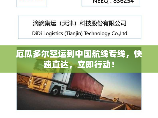 厄瓜多尔空运到中国航线专线，快速直达，立即行动！