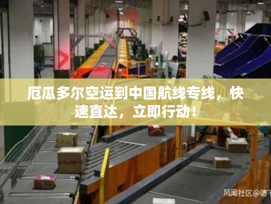 厄瓜多尔空运到中国航线专线，快速直达，立即行动！