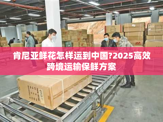 肯尼亚鲜花怎样运到中国?2025高效跨境运输保鲜方案