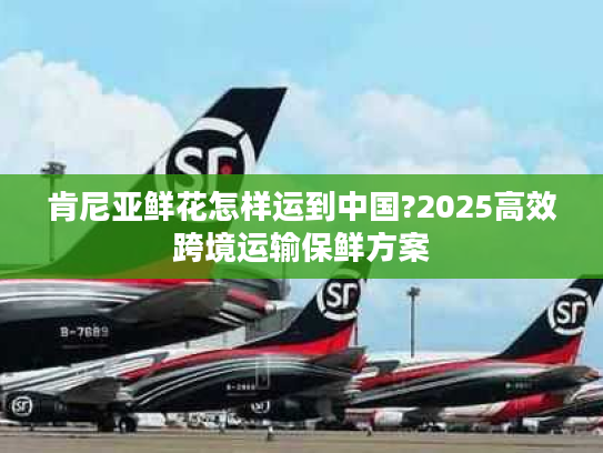 肯尼亚鲜花怎样运到中国?2025高效跨境运输保鲜方案